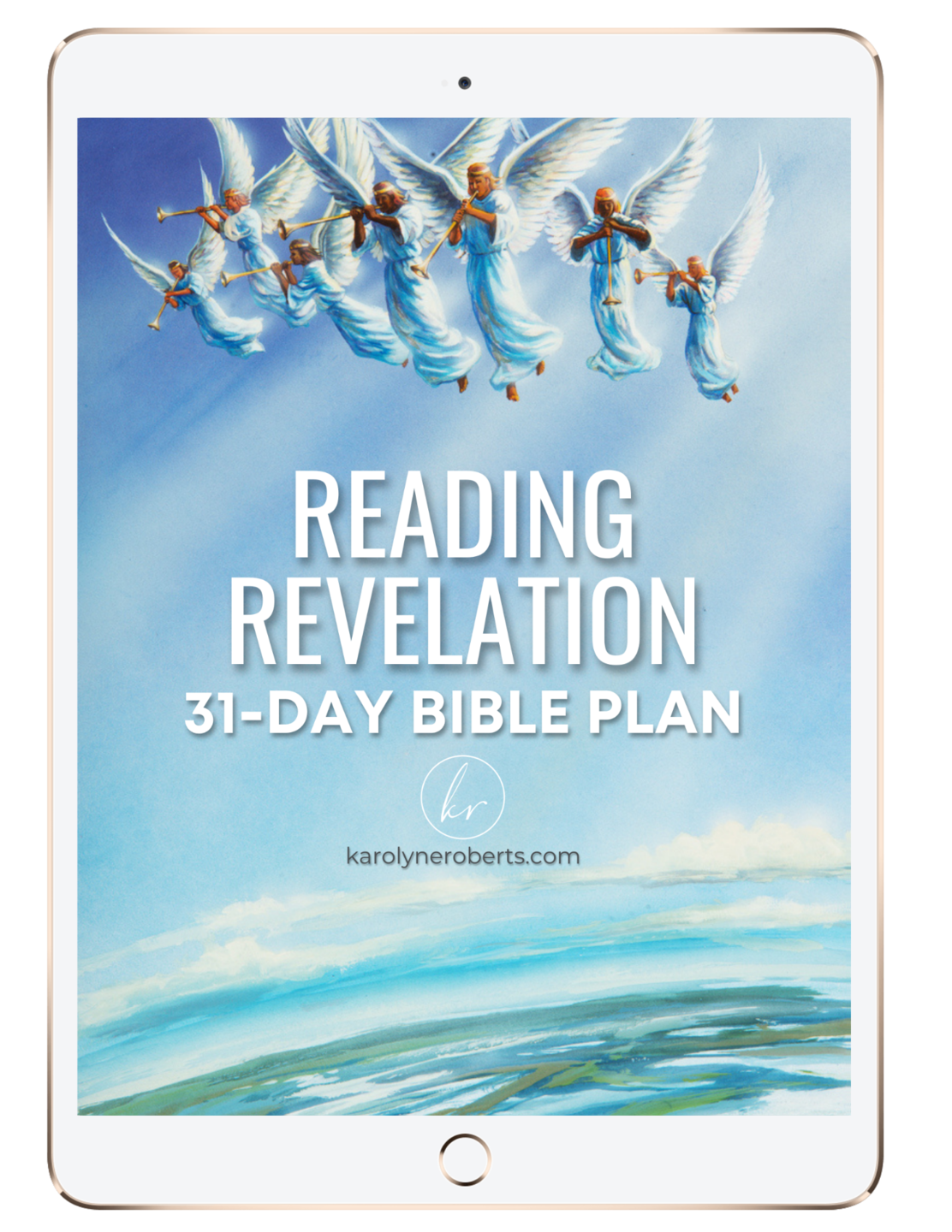 Reading Revelation Guide